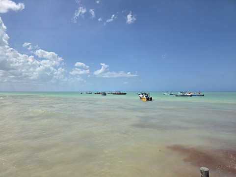 Paseo Tours-普拉亚德尔卡曼必去景点