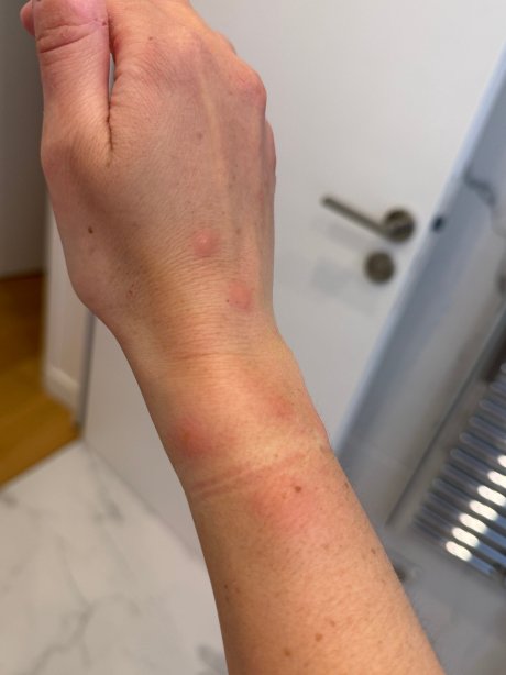 阿尔卑弗勒里酒店及公寓-官方