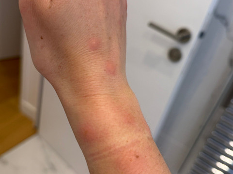 阿尔卑弗勒里酒店及公寓主图