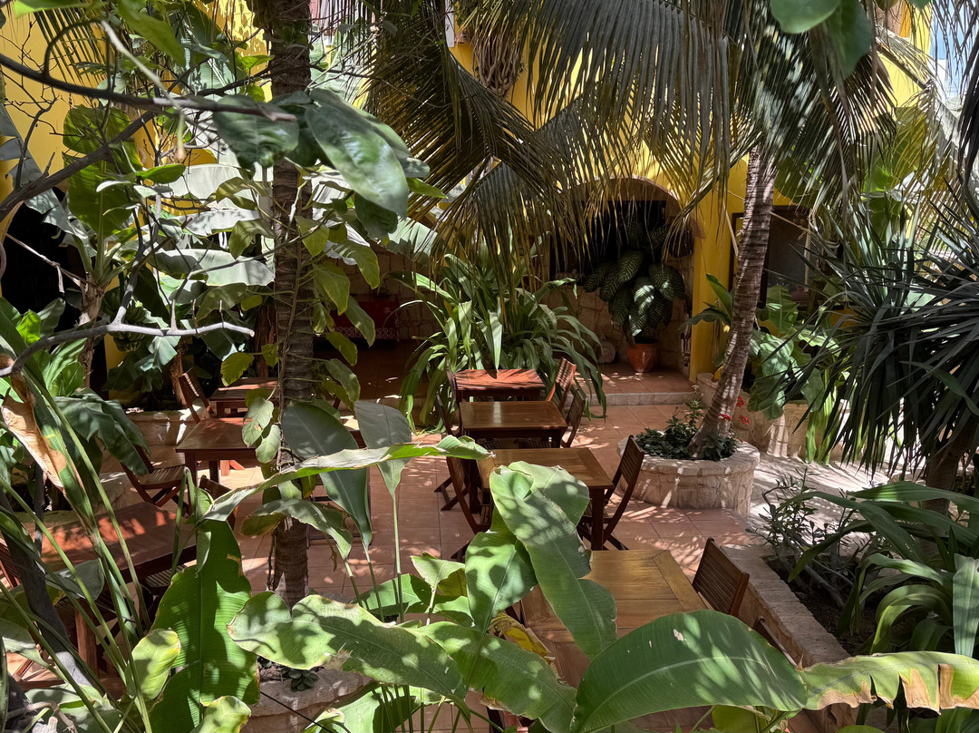 Orquidea Guest House主图