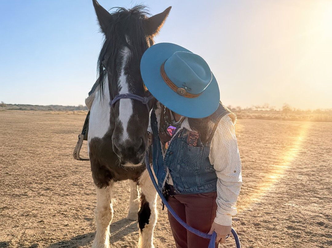 KOLI Equestrian Center-钱德勒必去景点