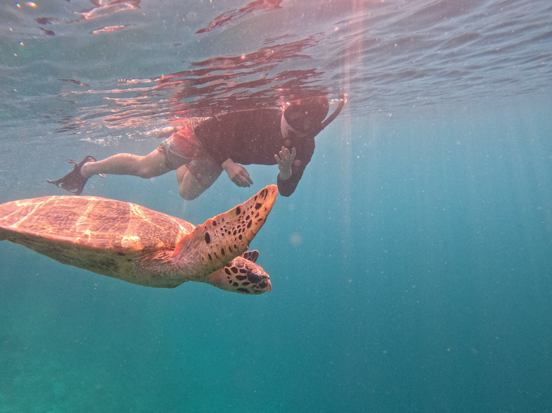 Snorkeling Diving Menjangan-Menjangan Island必去景点