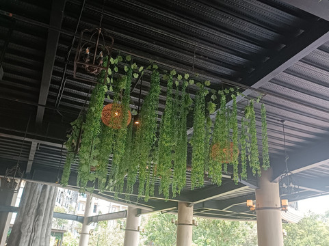 猴面包树野外度假村主图