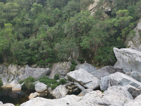 Half Collared Kingfisher Trail-荒野必去景点