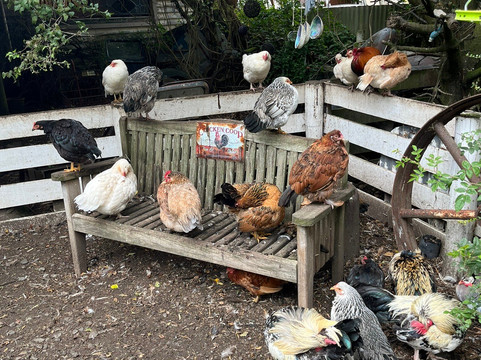 Demolition World-因弗卡吉尔必去景点