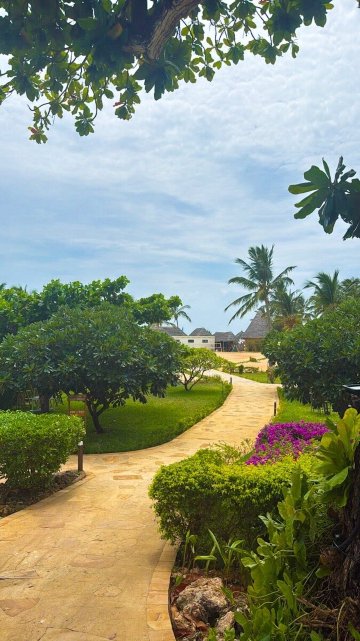 黄金桑给巴尔海滩水疗酒店-官方