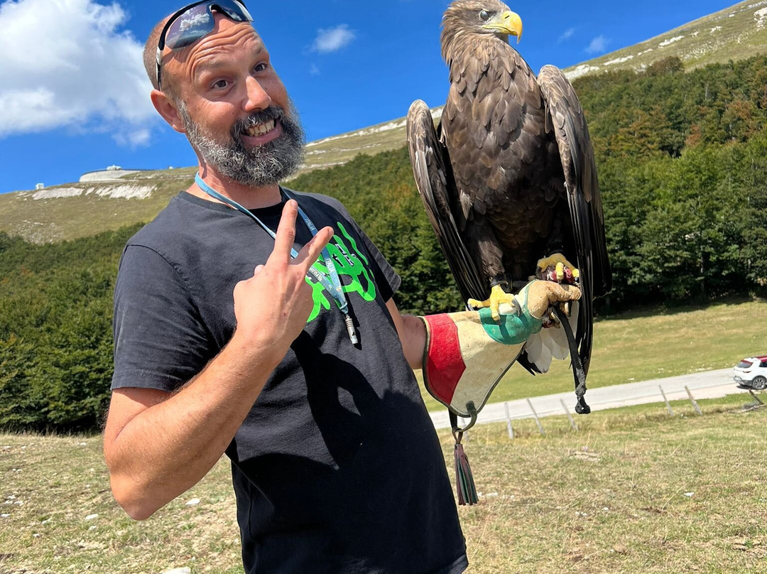 Wild World-Porto Potenza Picena必去景点