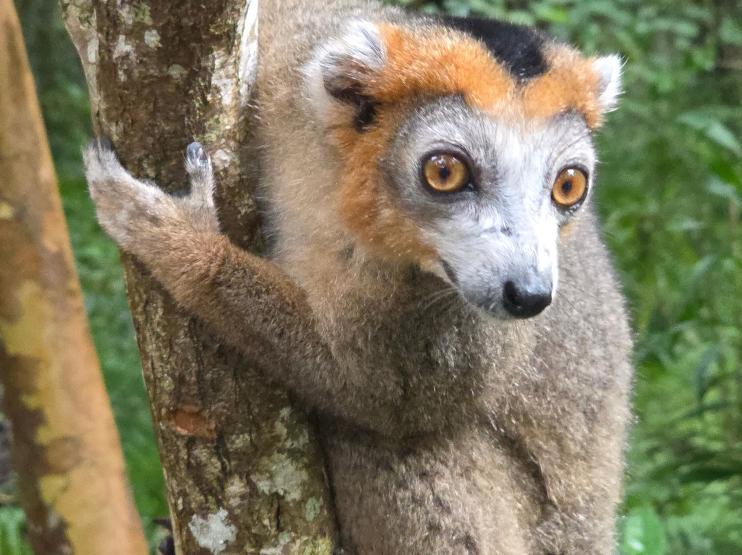 Zamilane-Toamasina (Tamatave)必去景点