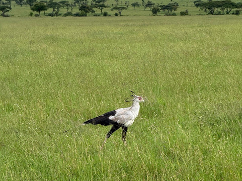 Unlimited Expeditions - The Soul Of Tanzania-阿鲁沙必去景点