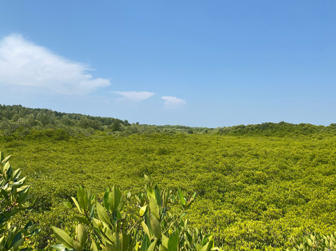 Tung Prong Thong-Ban Pak Nam Krasae必去景点