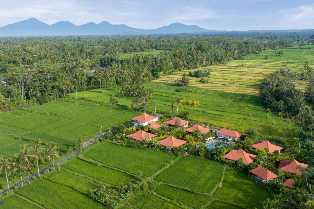 Kampung Uma Dawa Resort And Spa