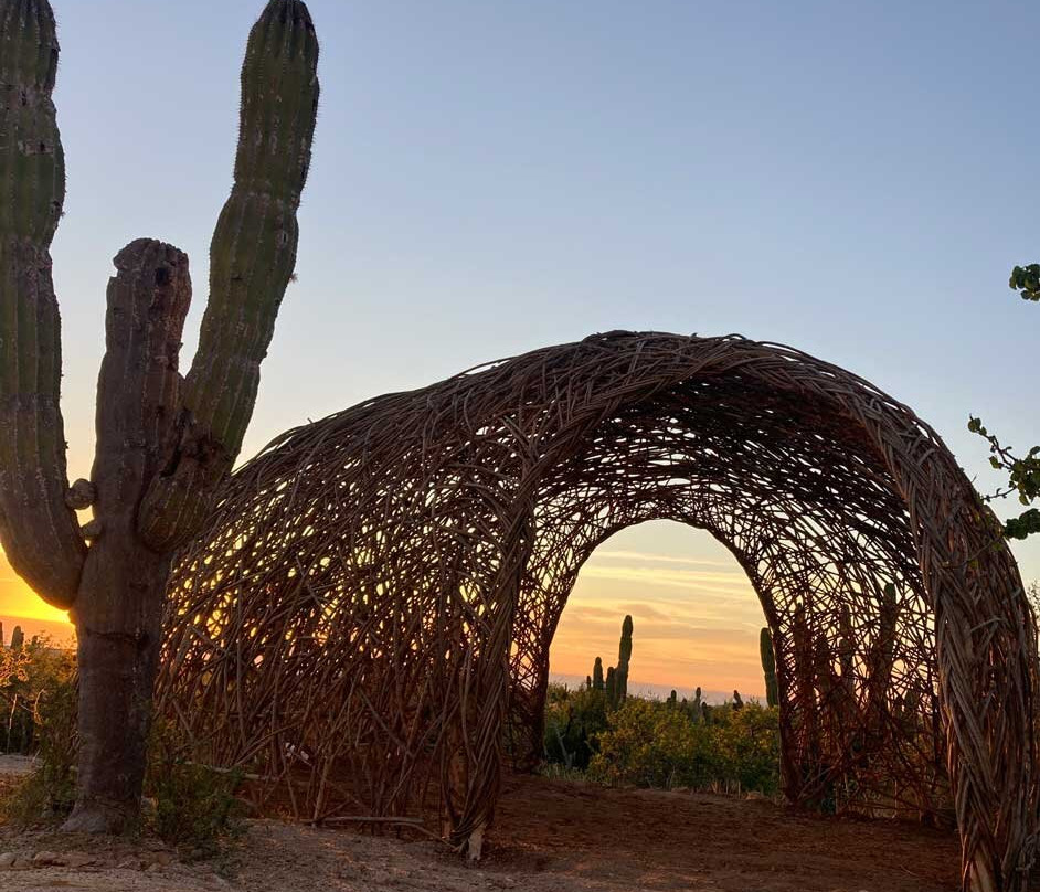 Earth Art Studio