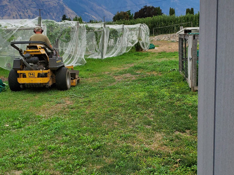 Robin Ridge Winery-Keremeos必去景点