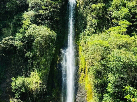 Manakin Waterfalls Nature Reserve.-Tilaran必去景点