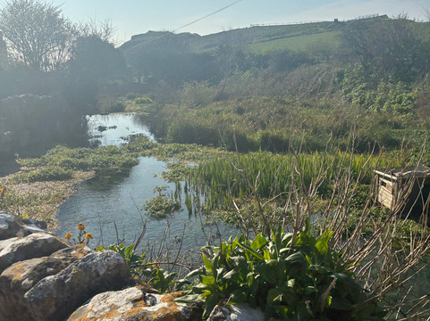达德尔门酒店主图