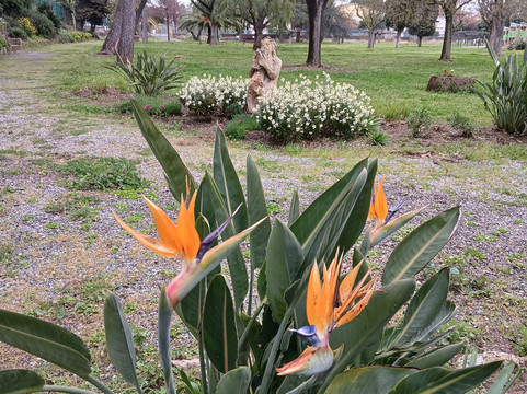 Villa Marie-弗雷瑞斯必去景点