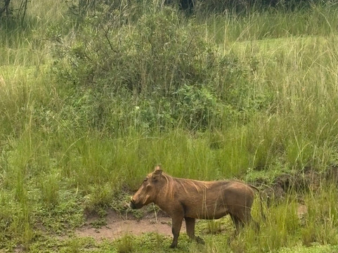 Ikaze Rwanda Tours & Travel-吉佳利必去景点