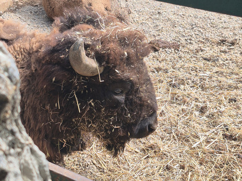 Città Della Domenica-佩鲁贾必去景点