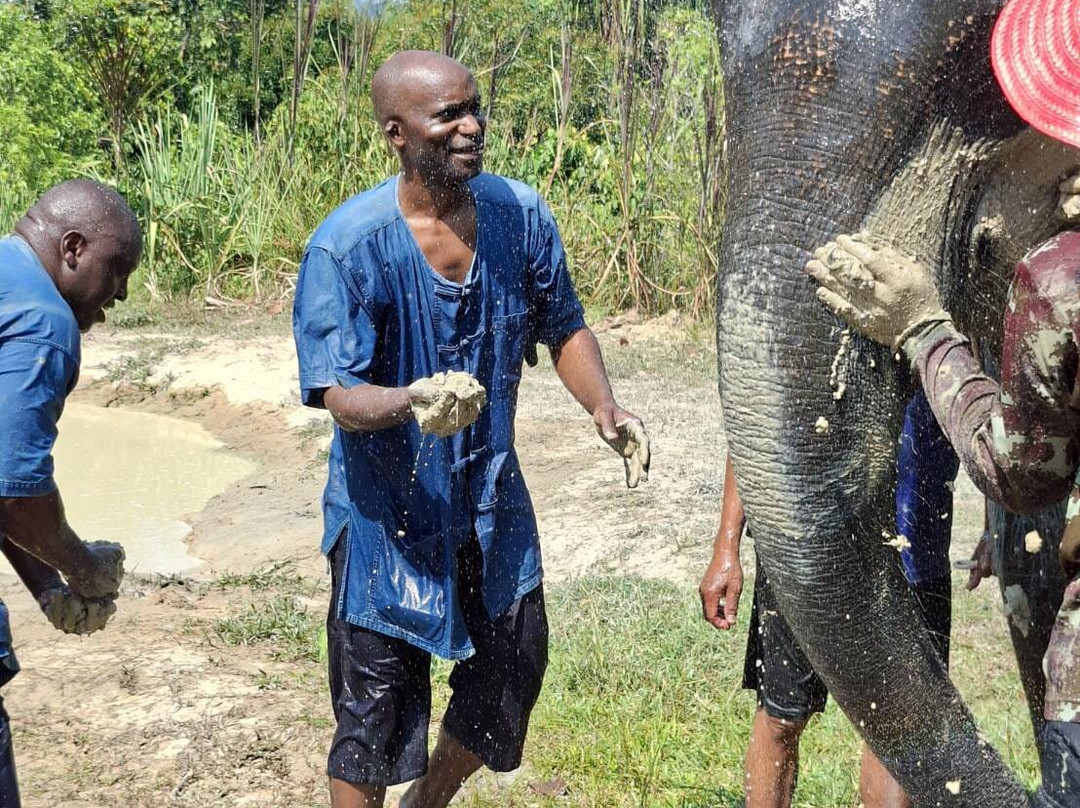 Trunk & Soul Elephant Home-班巴克洛必去景点