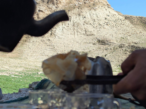 Bahman iran Nomad tour-Shiraz必去景点