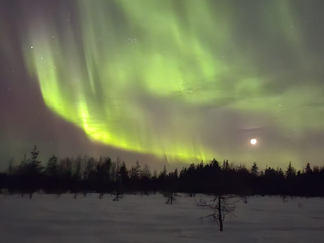 North Wind Lapland-Yllasjarvi必去景点