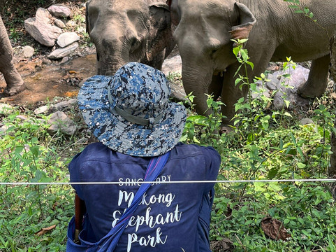 Mekong Elephant Park-北宾必去景点