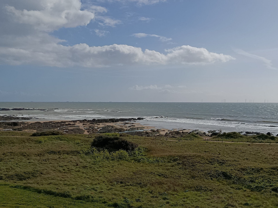 青苔海洋酒店主图