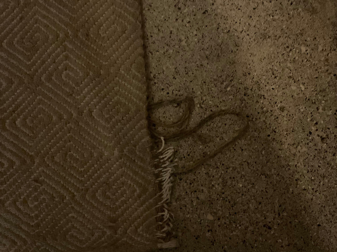 艾尔曼格鲁弗酒店-傲途格精选主图