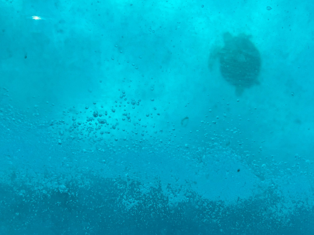 Living Dreams Mexico-普拉亚德尔卡曼必去景点