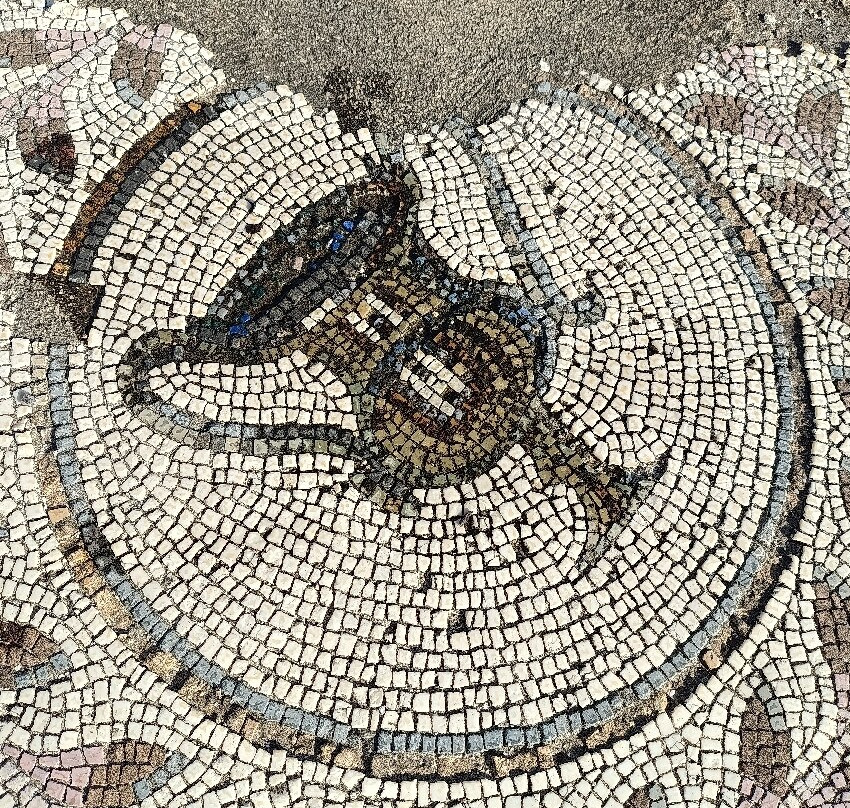 Pupput Roman Site-哈玛麦德必去景点