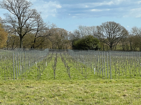 Wayfarer Wines-Woodchurch必去景点