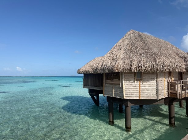 提克豪-珍珠度假村-官方