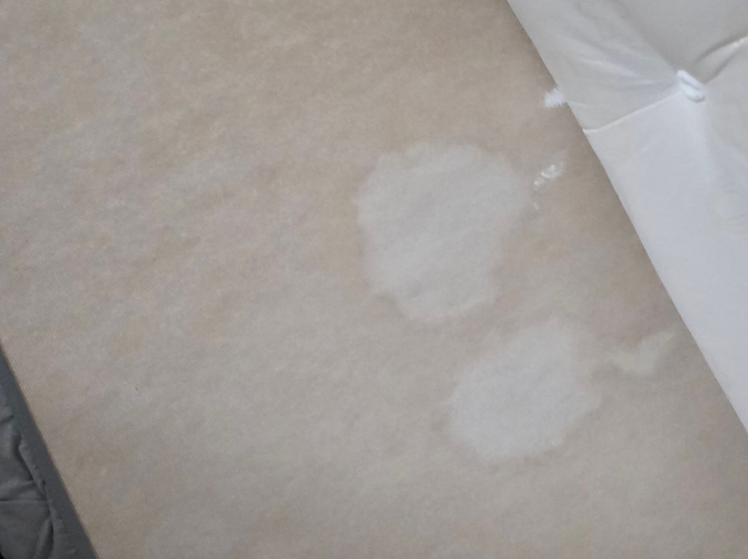 酿酒师山林小屋主图