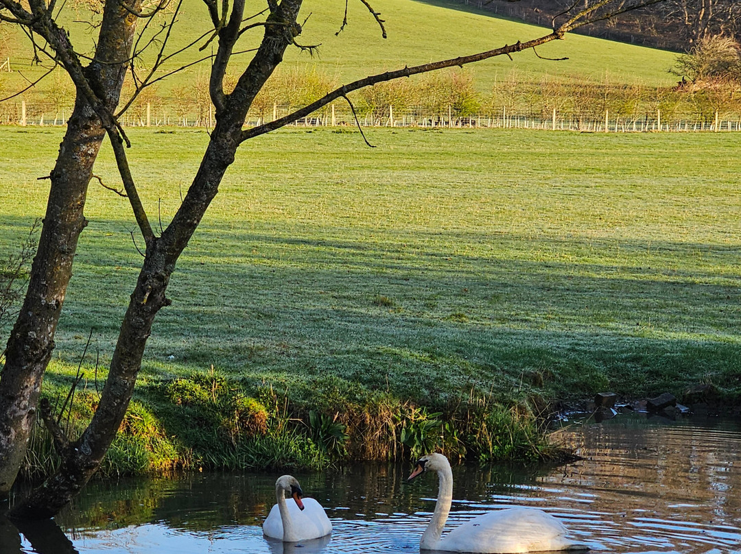 Boutique Narrowboats-马基特哈伯勒必去景点