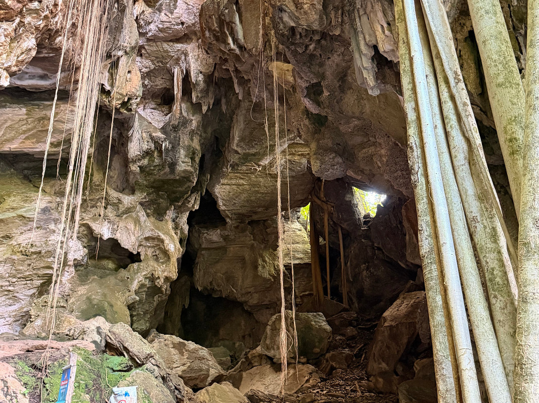 Cenario Nativo Expedicoes-Mateiros必去景点