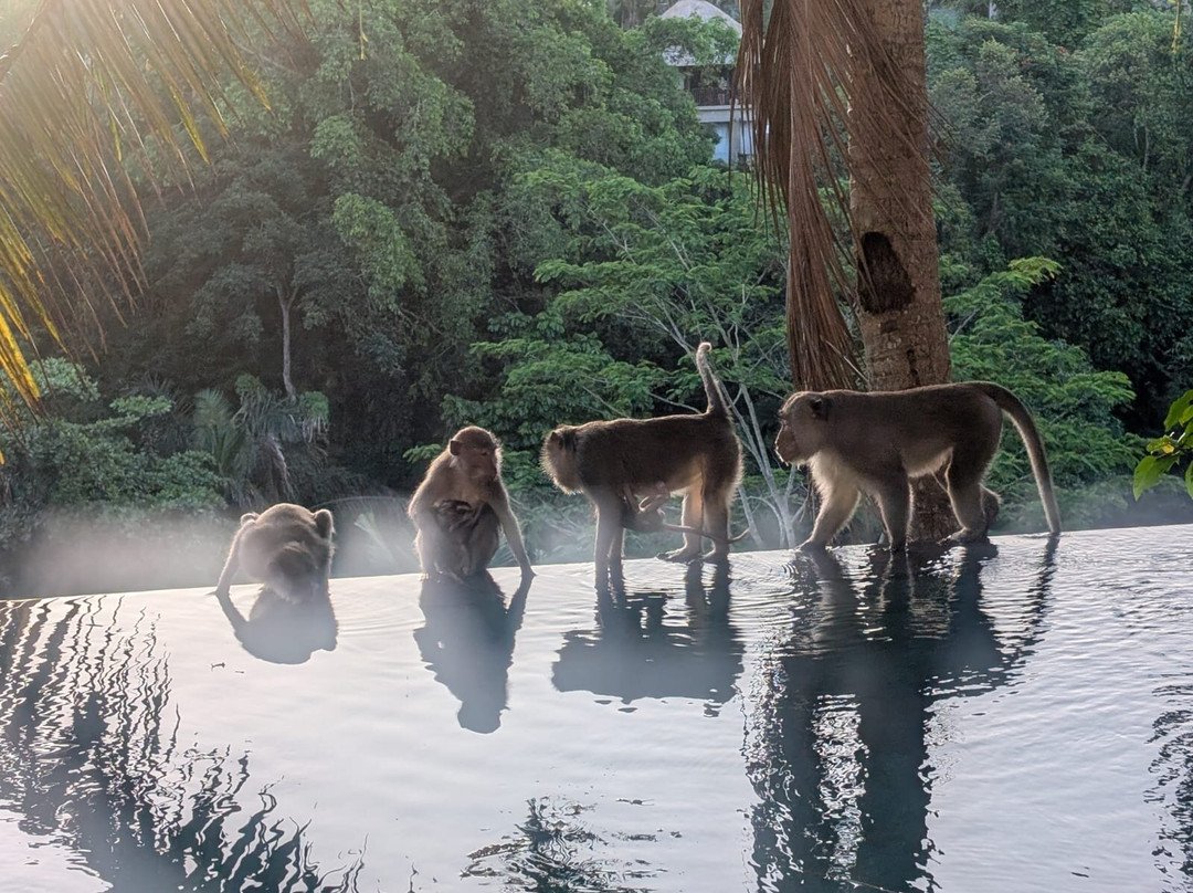 EPS隐藏天堂套房及别墅主图