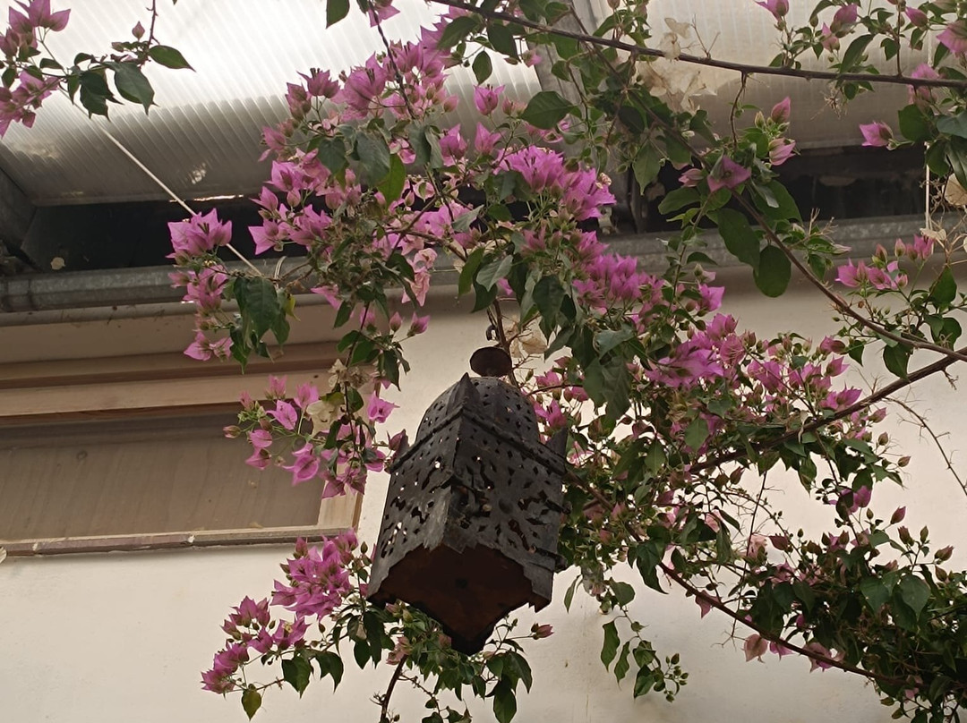 马利亚尔巴乡村旅游中心酒店主图