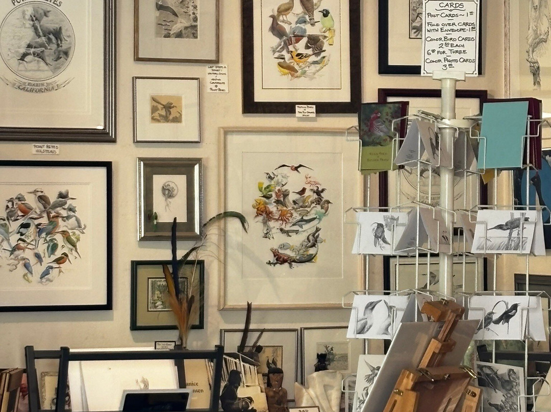 Bolinas Museum-Bolinas必去景点