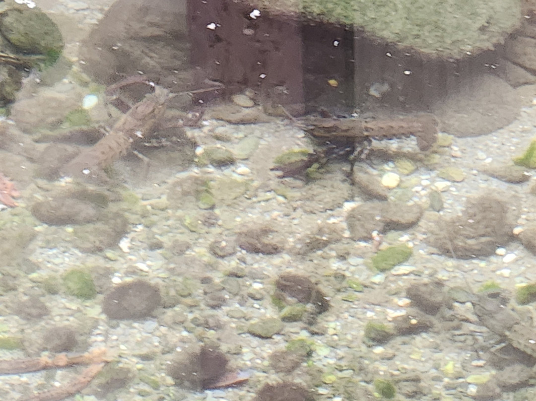 国家奇兽中心-霍基蒂卡必去景点