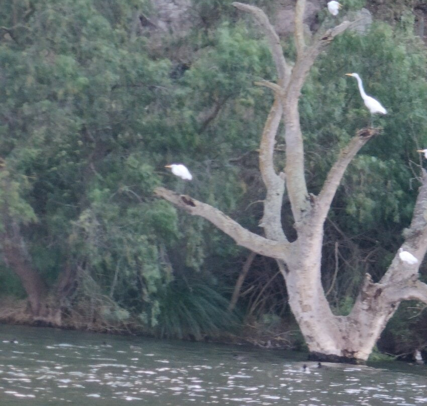 Laguna De Yambo-Salcedo必去景点