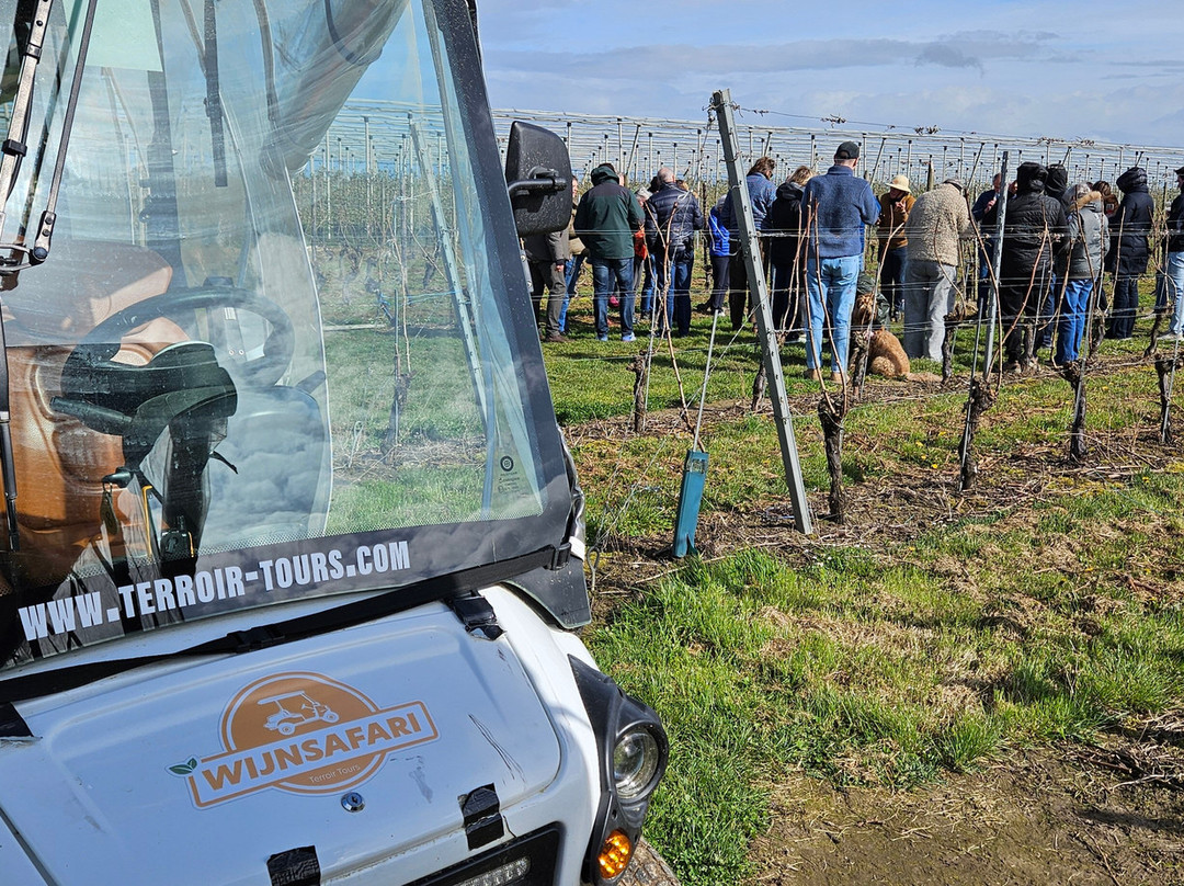 Wijnsafari in Haspengouw (Borgloon)-Borgloon必去景点