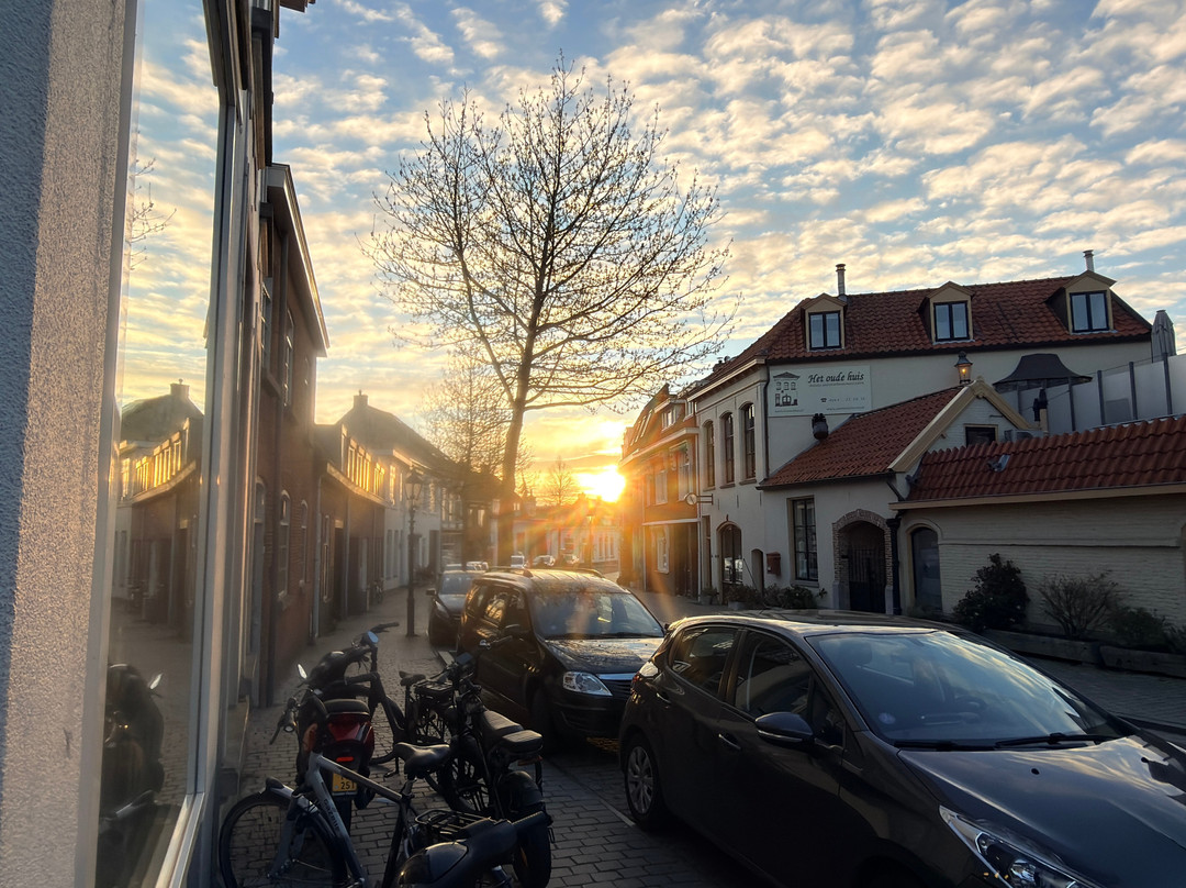 贝亨奥普佐郁金香旅馆主图