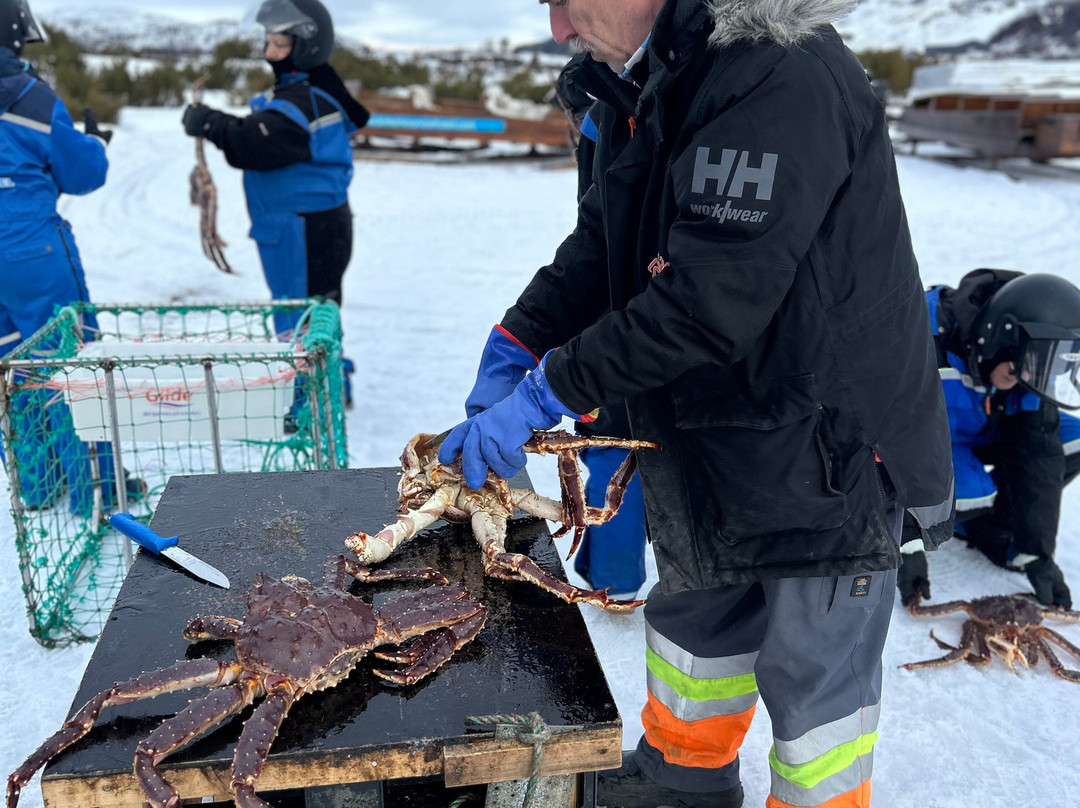 帝王蟹捕捞之旅-希尔克内斯必去景点