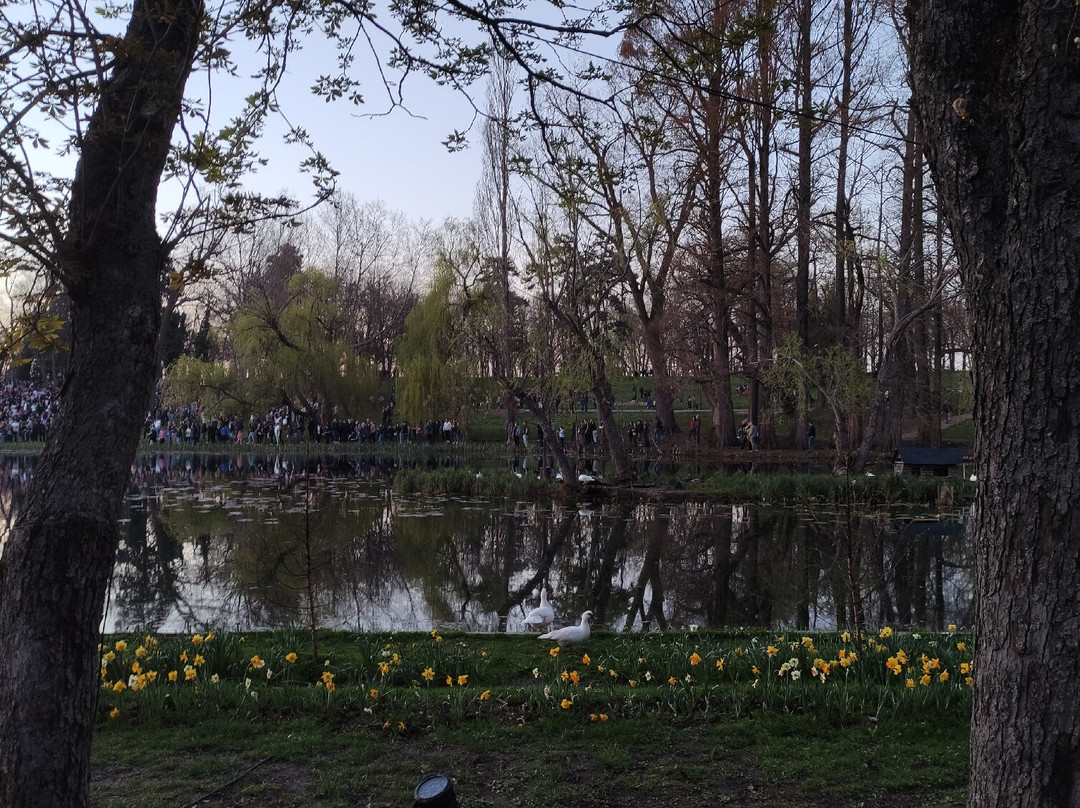 Parcul Nicolae Romanescu-克拉约瓦必去景点