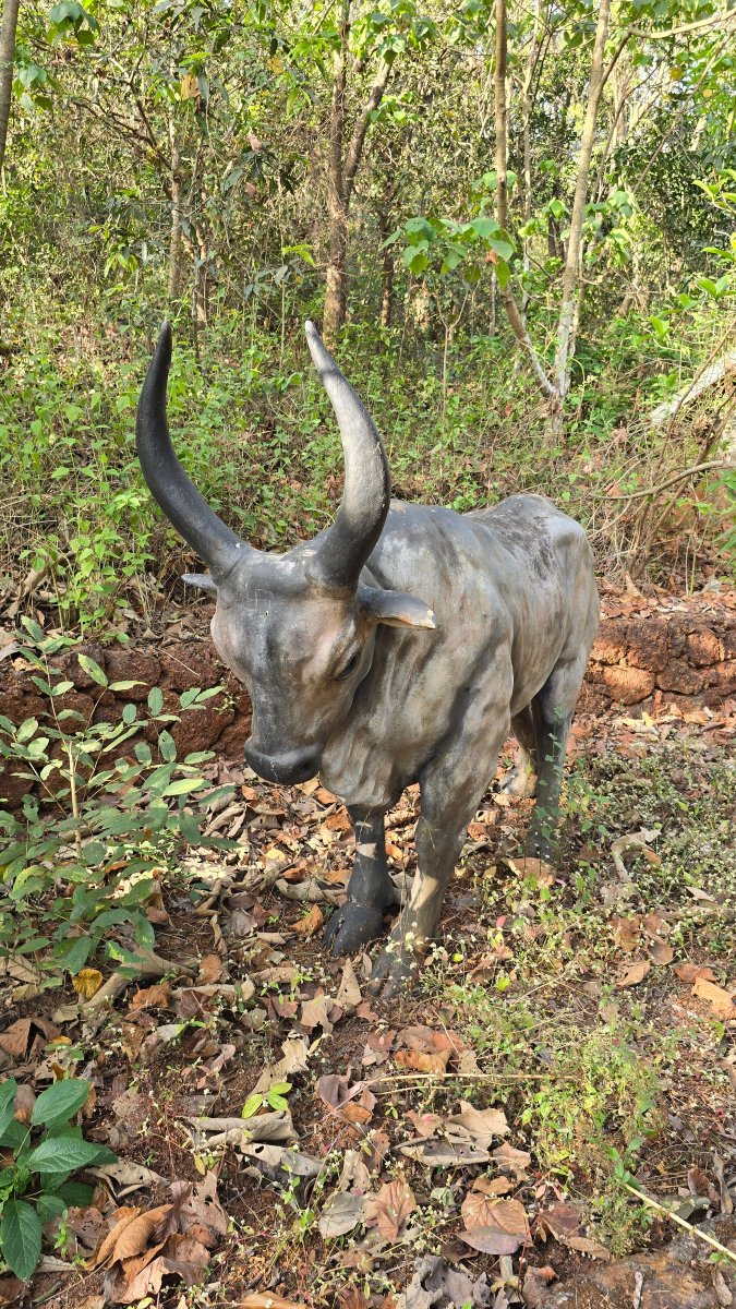 达波利的费恩萨玛利度假村，万豪系列-官方