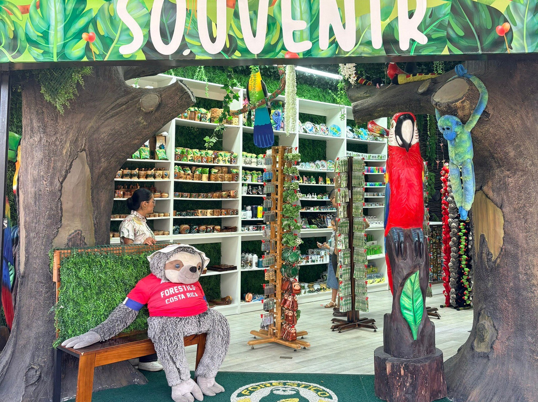 World Evasion-圣何塞必去景点