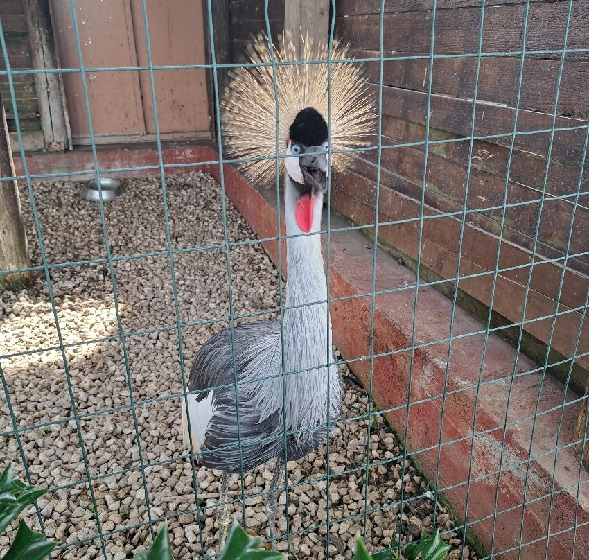 Safari Park-Pombia必去景点