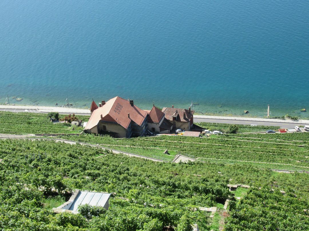 拉沃葡萄园梯田-蒙特勒必去景点