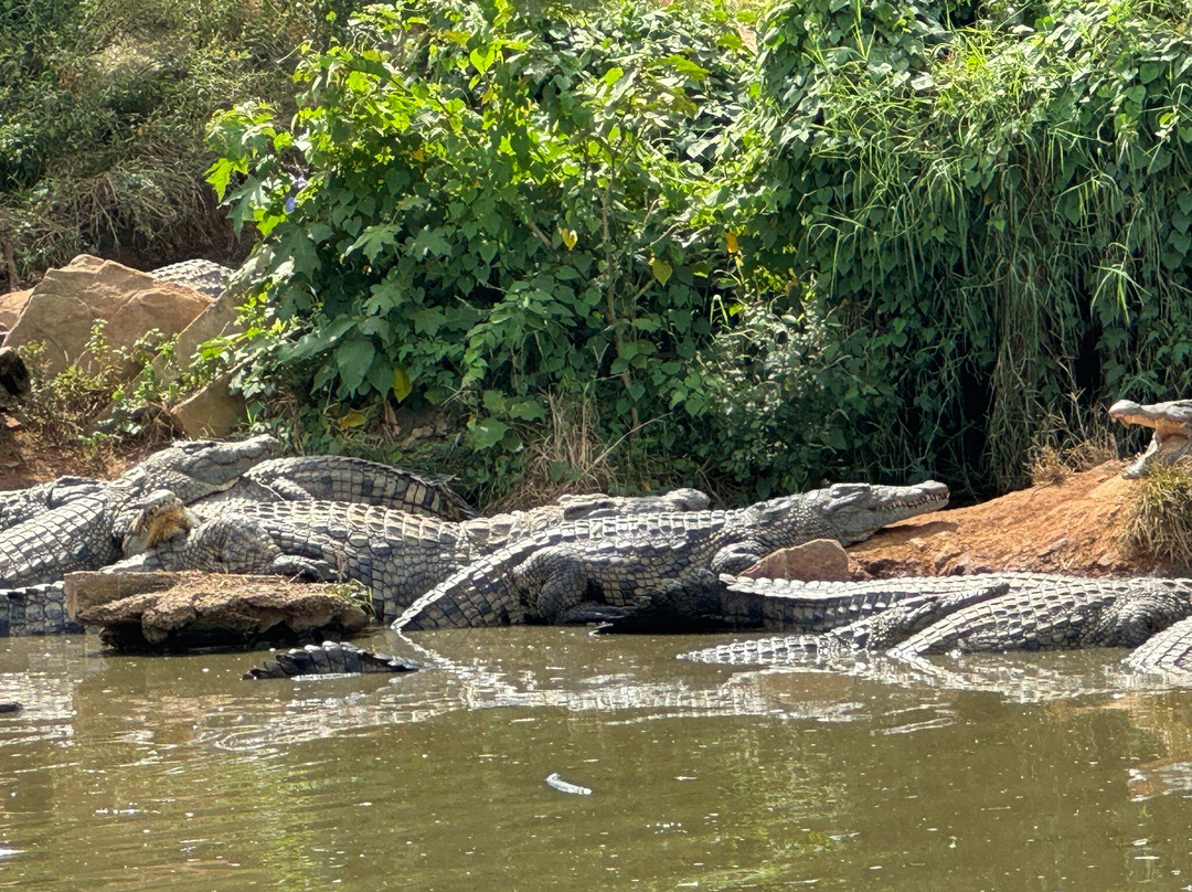 Crocodile Creek-Tongaat必去景点