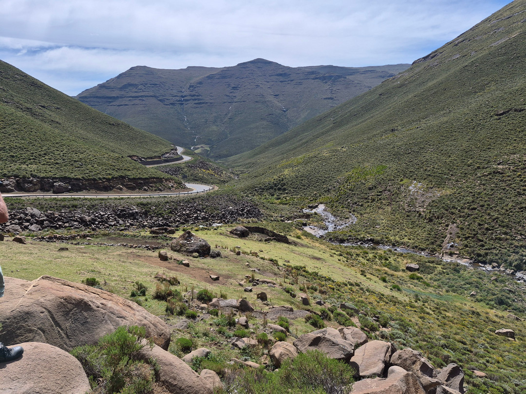 Birds and Beyond-Himeville必去景点